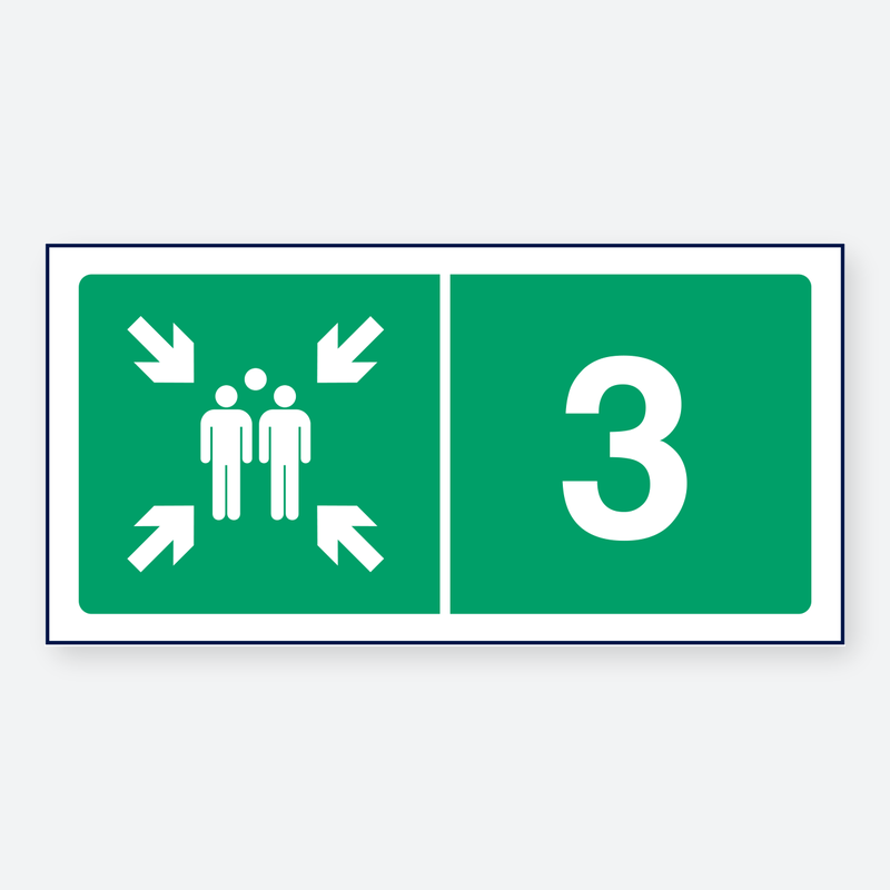 A3